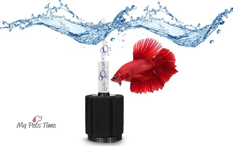 Betta Water Filter