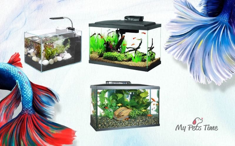 betta fish vase with plant on top